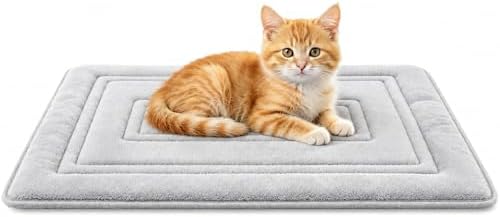 Cat Bed Mat, Memory Foam, Waterproof Non-Slip Base, 24 x 16 in | ...
