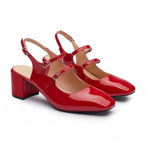 Mary Jane Shoes Slingback Chunky Heels for Women Closed Toe Double Strap Block Heel Pumps Retro Square Dress Shoes for Daily Party2