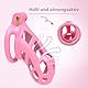 B1 Pink Chastity Cage Male mit 4 Cock Rings und Belt Klein Belüftung Peniskäfig Keuschheitskäfig Herren Set Extrem SM Penis Bondage Keuschheit Sexspielzeug für Männer (micro,Pink)