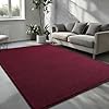Amazon.com: Pettop 6x9 ft Burgundy Red Area Rugs for Bedroom Living ...
