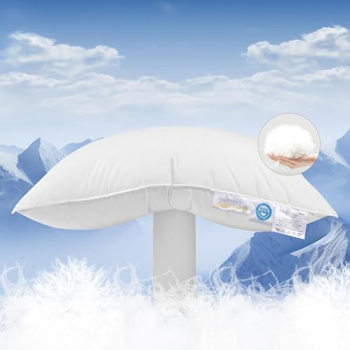 Shilucheng Canadian Goose Down Pillows Queen Size Set of 1, 900+ Fill Power Side Sleeper Pillow for...