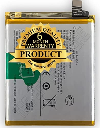 Image of THE BATTERY STORE Orignal B-M1 Battery For Vivo V17 (Vivo 1919) / Vivo V19 (Vivo 1933) battery with 1 year warranty and high capacity battery backup.ACBPR40Y01(Check and Match Battery Model NO. and Mobile Model NO. Before Purchase.See Image of Battery) (FOR B-M1)