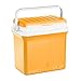 Giostyle Bravo Nevera portátil, Naranja, 30