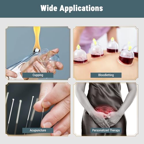 Plum Blossom Hauthammer, 5-teiliges Nadelhammer-Set aus Edelstahl Mit Schwarzem ABS-Griff Und Einem Ende Für Die Industrie