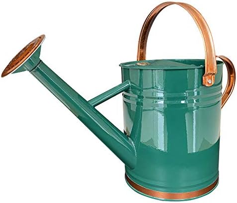 Metal Watering Can for Outdoor and Indoor Plants, Watering Can Decor, 1 Gallon (1 Gallon Green2)