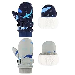 Navy Shark 1 + Grey Whale