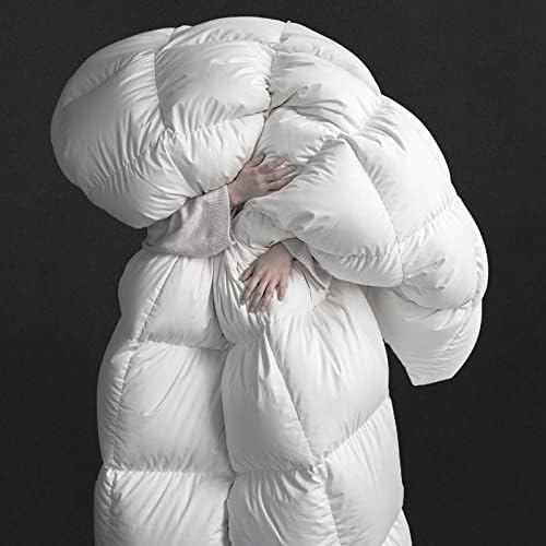 DOWNFORT Down Comforter Queen Size, Premium Feathers Down Comforter Filling with 75oz, Breathable Quilted White Duvet Insert All Season Warm, Soft Fluffy Hotel Bedding Down Comforter Feather 90"x90"