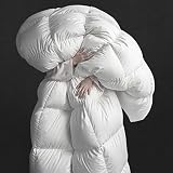 DOWNFORT Down Comforter Queen Size, Premium Feathers Down Comforter Filling with 75oz, Breathable Qu