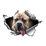 13cmx8.6cm Fauve Cane Corso Autocollant De Voiture Décalque En Métal Déchiré Autocollants Réfléchissants Fenêtre