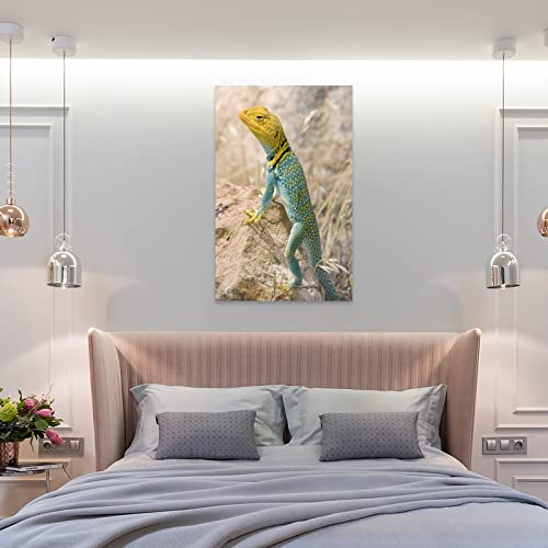 Wall Posters Animal Ring Neck Lizard Art Posters Canvas Wall Art Prints For Wall Decor Room Decor Bedroom Decor Gifts Posters 24X36Inch(60X90Cm) Frame-Style #TOP7