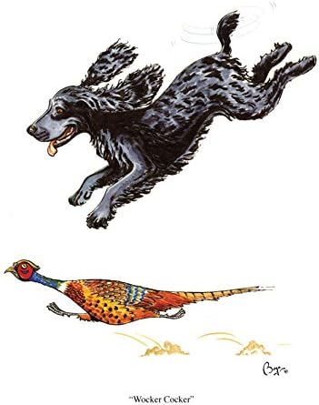 Wocker Cocker Dog Greeting Card by Bryn Parry
