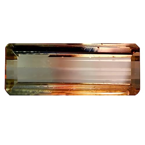Tourmaline bicolore du Mozambique 15x6 mm pierre brute octogonale non traitée