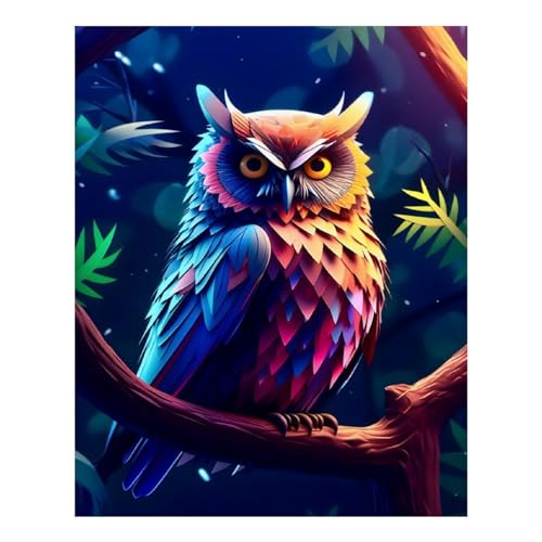 Kit peinture diamant 3D Hibou complet anti-stress strass 40x50cm