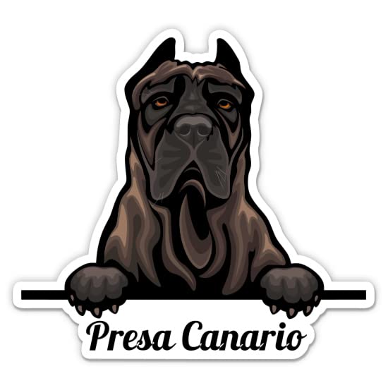 Presa Canario Dog Stickers - 2 Pack - Waterproof Vinyl for Car, P...