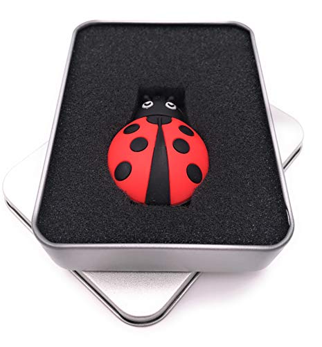 Clé USB 3.0 coccinelle 128 Go pour organiser vos dossiers de bureau