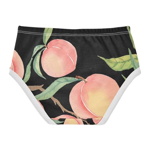 Watercolor Peaches Toddler Girls's Underwear 2T 202c14042