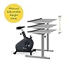 LifeSpan C3-DT5 Bike Desk #2