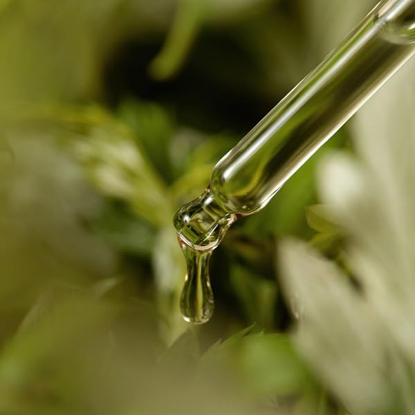 I'm from Mugwort Serum, 57% Calming serum for face with 57% Korean mugwort extract great for soothing, Sensitive, irritated skin, Water gel texture without stickiness, 1.01 fl.oz / 30ml - Image 6