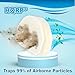 HQRP 2-pack Foam & Felt Filter Kit Compatible with Shark Navigator NV100, NV100 26, NV105, NV106, UV300, UV300 26 Upright Vacuum Cleaner, Replacement parts XFF450, XFL100