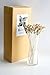plawanature 20 Two Tone Mini Rose Sola Flower with Reed Diffuser for Home Fragrance Aroma Oil