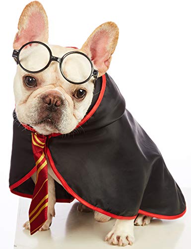 Impoosy Pet Halloween Dog Hoodies Funny Cat Wizard Costume Cute Apparel Soft Shirts Clothes with Glasses (X-Large,Neck:21