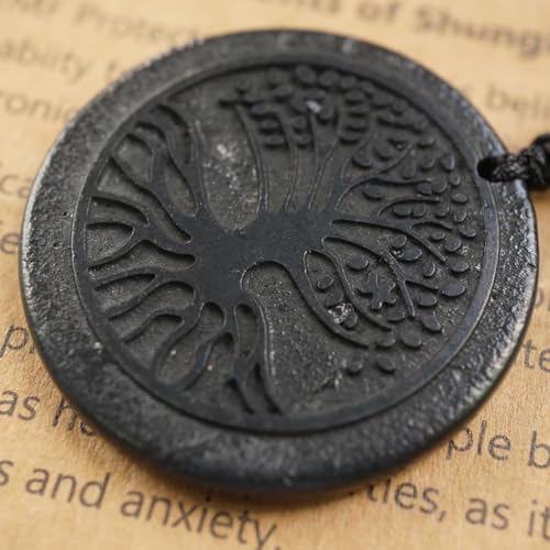 RICHRAIN Shungite Necklace Shungite Stone Pendant Crystal Protection Healing Crystals for Women Men2