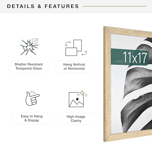 MCS Studio Gallery 11x17 Picture Frame Natural Woodgrain, Rectangle Photo Frame for Photos, Posters & Art Prints (1-Pack)
