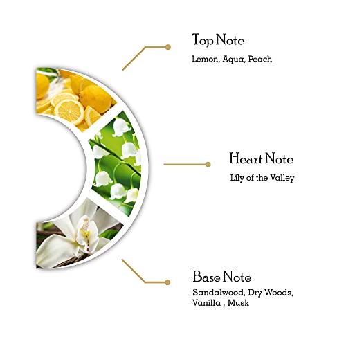 Dorall Collection Beau Monde Gold For Women 100ml - Image 5