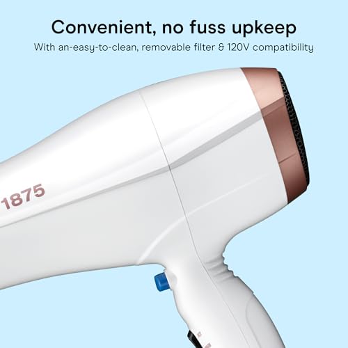 Image of Conair Double Ceramic Ionic Hair Dryer | Double Ceramic Ionic Tech Reduces Frizz for Fine, Thick, and Curly Hair Types, White with Diffuser & Concentrator, 566L
