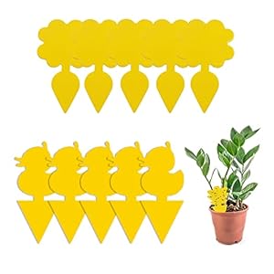EasyULT 50 Stück Gelbtafeln Klebrige Insektenfallen, Obstfliegenfalle und Essigfliegenfalle für Pflanzen Auf dem Balkon oder Garten, Insektizidfrei Geruchlos Gegen TrauermüCken Perfekt bei Ungeziefer