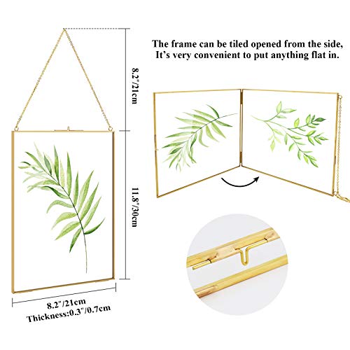 Tlbtek Brass Hanging Photo Frame,8X12 Inch Double Glass Frame For Pressed Flowers,Clear Diy Vintage Artwork Display Frame Wall Mounted Photos Frame #TOP1