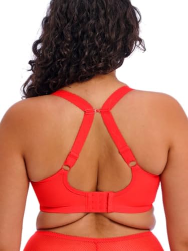 Image of Elomi Women's Charley Stretch Plunge Bra: Stretch Lace & Mesh, Racerback Option. Low Plunge UK Sizes D-JJ, US Sizes D-N