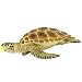 Safari Ltd  Wild Safari Sea Life Loggerhead Turtle