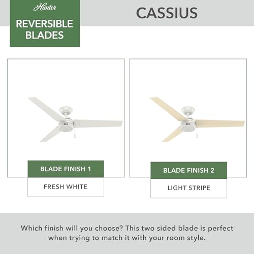 Image of Hunter Cassius, Outdoor or Indoor, Ceiling Fan, 52 inch, Fresh White