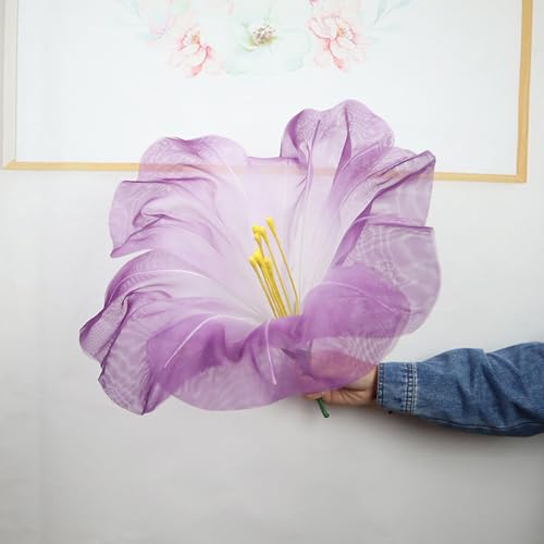 HGJH nX̉  J[3 30cm { [Y K[[f AȎ X^ht a i` 뉀 X܃fBXvC  炢 CeA r[? 뉀 e[}p[N Bep