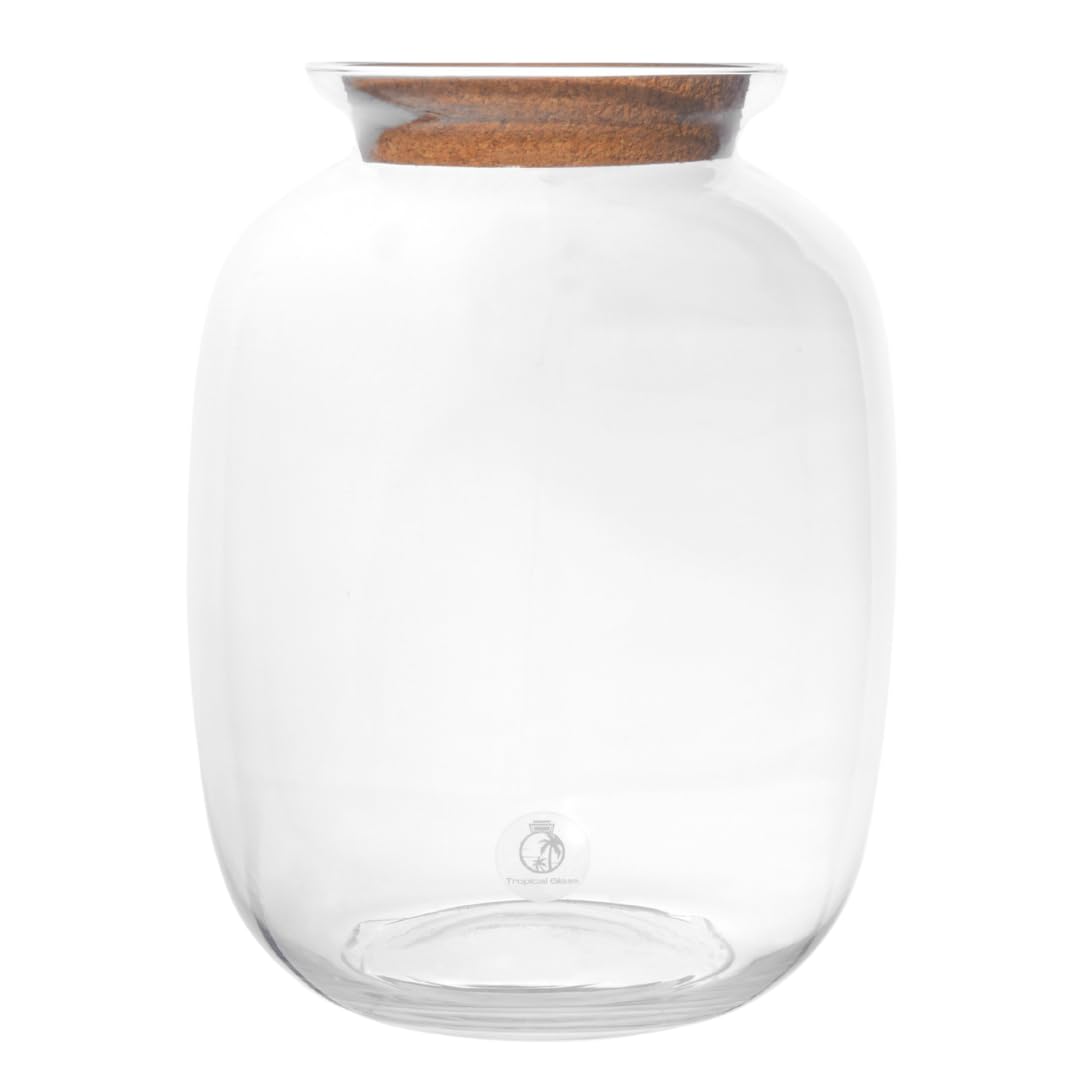 Terrarium Glass Jar with Cork Lid for Plants H: 32 cm, Glass Planter Pot, Closed Terrarium, Office Home Decoration (with Standard Lid, Glass Only) โ image 1