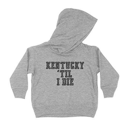 Kentucky Til I Die Kids Hoodie Sweatshirt Toddler 2T Heather Grey