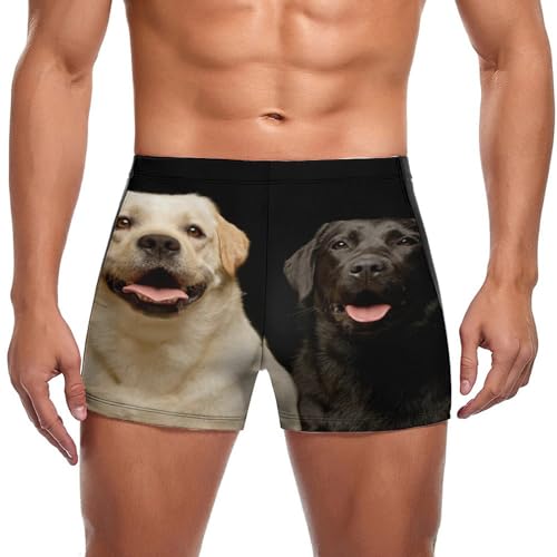 Short de bain homme avec motif Golden Retriever et coupe boxer confortable pour la baignade