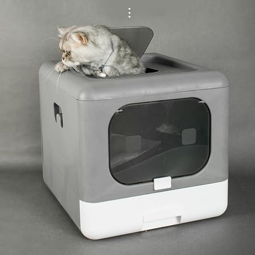 Arenero cerrado grande para gatos plegable gris clásico miniatura 5