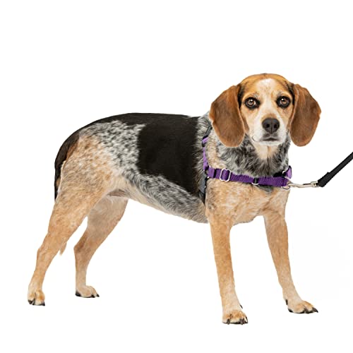PetSafe イージーウォークハーネス (SM, ディープパープル&ブラック)