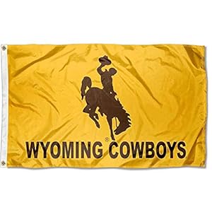Wyoming Wordmark 3×5 Grommet Flag