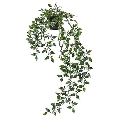 Image of Chitra Artificial Fern Plant with Pot Set of 6 Realistic Faux Greenery Indoor Decorative Plants for Home Living Room Office Tabletop Counter Decor Small Plastic Potted Plants for Shelf Desk Decoration