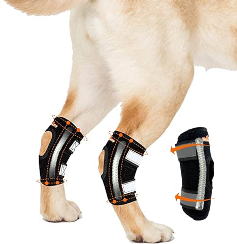 NeoAlly Super Supportive Dog Braces for Rear Hock Joint with Dual Metal Spring Strips Stabilize Canine Hind Legs from Wound Injury Sprains Arthritis (Medium Pair)