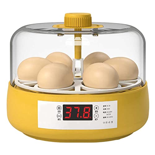 Incubateur automatique performant à mire-œufs pour optimiser l'éclosion des volailles