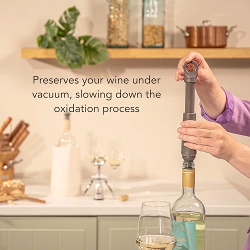Image of Vacu Vin Loop Wine Saver Graphite (Imported from Netherland)
