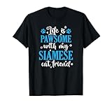Siamese cat cat pet breed animal Male cat paw