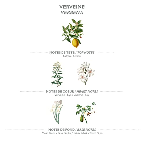 Panier Des Sens 3760062889551 Verbena Body Lotion thumb #2