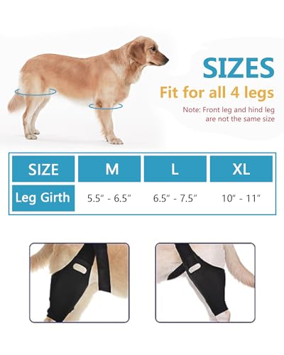 Image of Dog Knee Brace for Hind and Rear Leg, Support for Dog ACL CCL Cruciate Ligament Injury Joint Pain and Muscle Sore (Size: S)