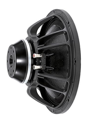 B&C Speakers 12NW76-8 LF Drivers 12-Inch Woofer 8 Ohms Impedance 500 Watts Rms 1000 Watts Max Continuous Power Handling Capacity Neodymium Ring Pro Audio Component Speaker Driver for Motorcycle Car