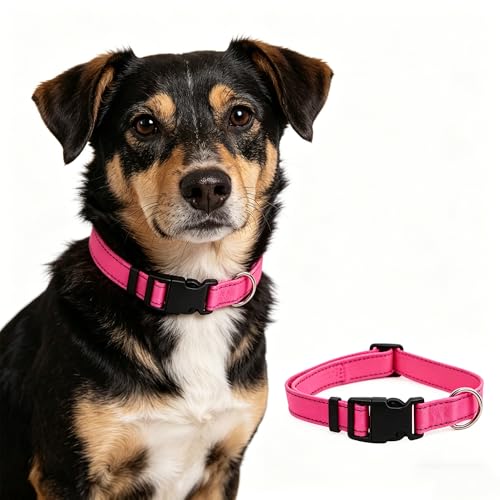 Collar Reflectante de Nylon para Perros Pequeños a Grandes